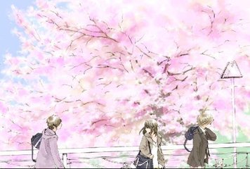 韩综艺伊甸园